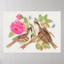 Search for doves art Botanical