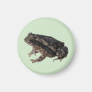 Search for will be toad magnets Toads