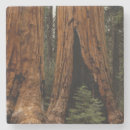 Search for trail coasters Hike