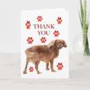 Search for for meal thank you cards Appreciation