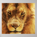 Search for big face posters Eyes