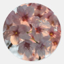 Search for spring festival stickers Nature