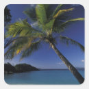 Search for trunk stickers Beach