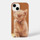 Search for cute baby kitten iphone cases Young animal