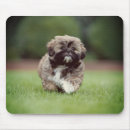 Search for shih tzu dog mousepads Cute