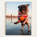 Search for ball planners Animal
