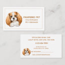 Search for veterinarian appointment cards Cute