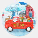 Search for saint bernards stickers Snow