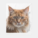 Search for tabby cat blankets Animal