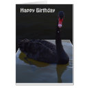 Search for swan cards Black