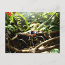 Search for blue black postcards Pretty