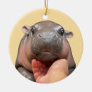 Search for hippopotamus christmas tree decorations Wildlife