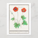 Search for vintage botanical postcards Poppies