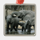 Search for adults christmas tree decorations Baby