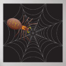 Search for cobweb posters Nature