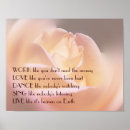 Search for soft rose posters Nature