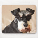 Search for miniature schnauzer mousepads Pet