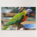 Search for australian birds puzzles Wildlife