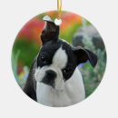 Search for bull christmas tree decorations Cute