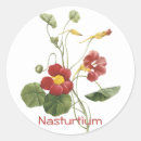 Search for nasturtium stickers Garden
