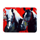 Search for generic rectangular magnets Black