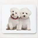 Search for frise electronics Puppies