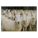 Search for sheep chopping boards Lamb