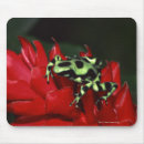 Search for frog mousepads Outdoors