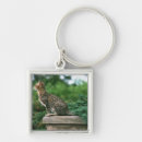 Search for contemplative key rings Animal