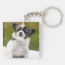 Search for chihuahua key rings Puppies