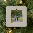 Search for albuquerque new mexico christmas tree decorations Land of enchantment