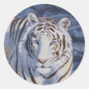 Search for blue tiger stickers Big cats