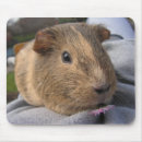 Search for guinea pig mousepads Rodent