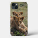 Search for baby lion electronics Nature