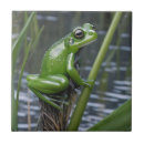 Search for green frog tiles Amphibian