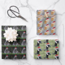 Search for raccoon christmas wrapping paper Animals
