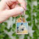Search for himalayan key rings Kitten