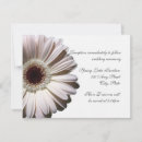 Search for gerber daisies invitations Gerbera