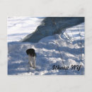 Search for cold postcards Snow