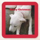 Search for dog sleeping barware Cute