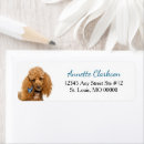 Search for apricot return address labels Poodle