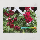 Search for rosas postcards Red