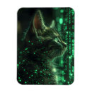 Search for awesome rectangular magnets Cute