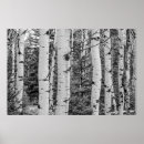 Search for black and white forest art Landscape