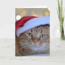 Search for ginger cards Funny