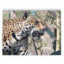 Search for wild animals calendars Beautiful