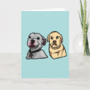 Search for cute pitbull cards Funny