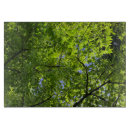 Search for maple chopping boards Nature