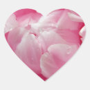 Search for dew stickers Pink