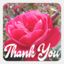 Search for fuchsia stickers Thank you
